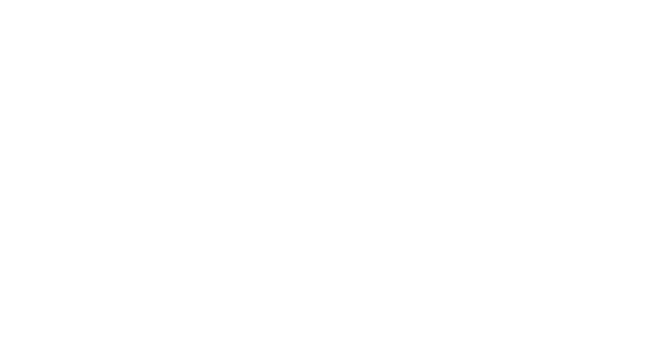 Olaiz Electrónica