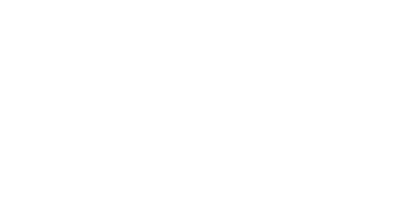 SwedTeam