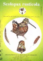 Revista 006 Scolopax Rusticola
