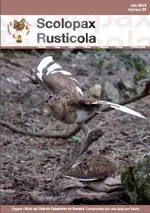 Revista 024 Scolopax Rusticola