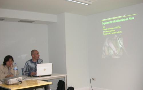C45jornadasibon.jpg
