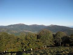 A216IMG_4392.JPG