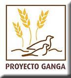 A221proyecto ganga2.jpg