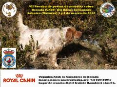 A268sabaiza2012 rebajada2.JPG