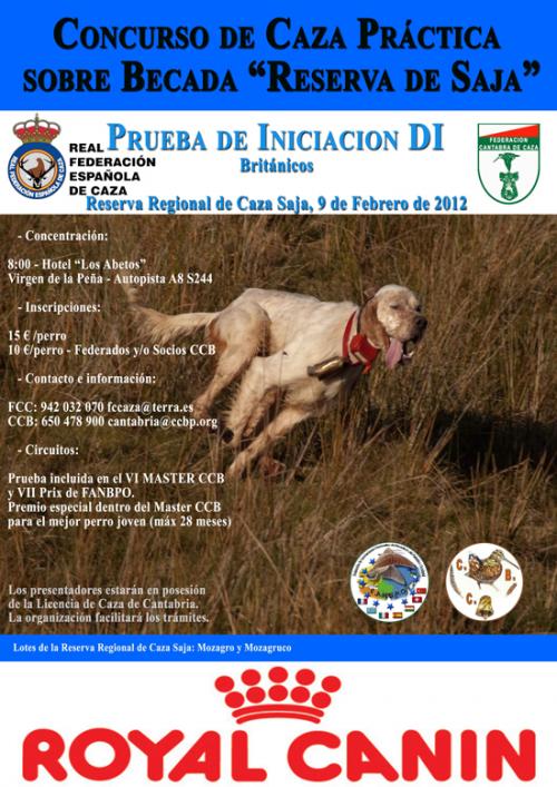 A339CartelConcursoDI-2013-web.jpg