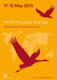A354wmbd2013_poster_en_600w.jpg