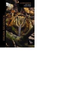 A372ed piviere-cover beccaccia-web.jpg