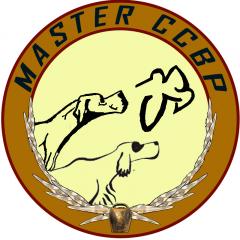 A377Logo master CCB.jpg