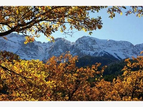 B378muralla-nord-cadi-tardor2.jpg