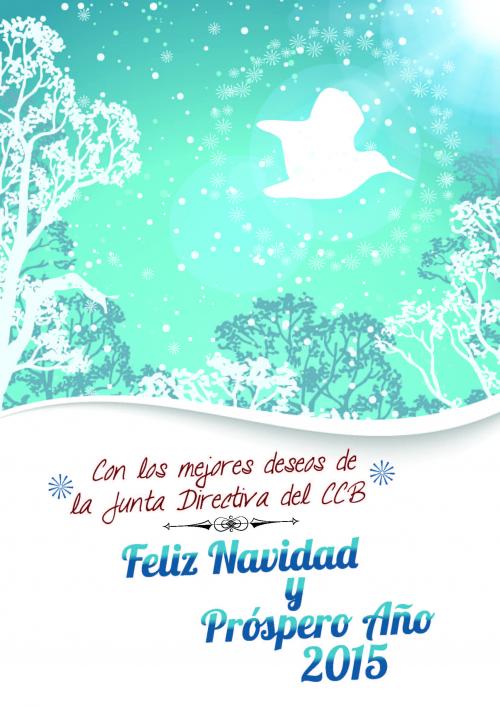 A417felicitaciu00F3n navideu00F1a.jpg