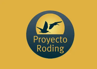 Proyecto Roding