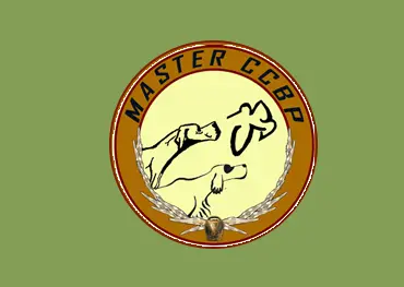 Máster CCBP