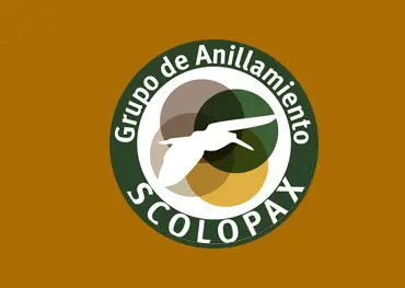 Grupo de Anillamiento